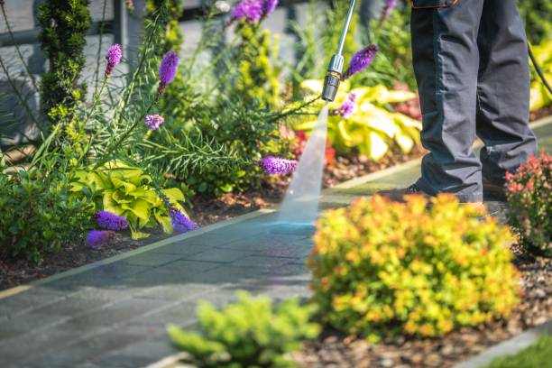 Best Parking Lot and Garage Cleaning  in Glen Allen, VA